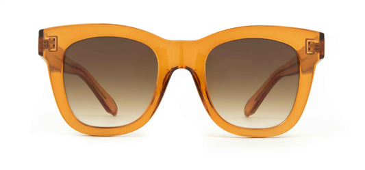 Elba - Gloss Toffee Frame with Gradient Brown Lens