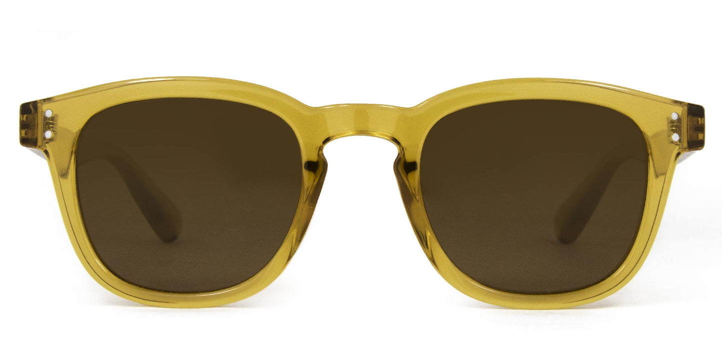 Havana - Polarized Gloss Clear Honey Frame Sunglasses